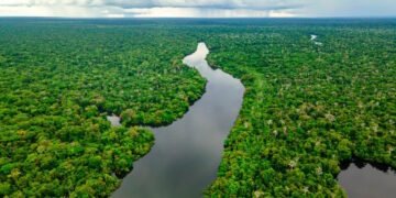Загинули тисячі: причиною масового вимирання в озерах стало різке підвищення температури води