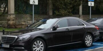 Дерева замість бетону: у Львові озеленюватимуть усі паркувальні зони