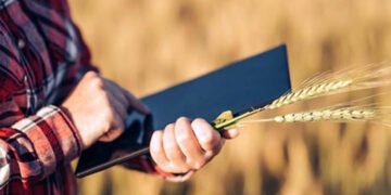 Подання заявок через ДАР: типові помилки, і як їх уникнути