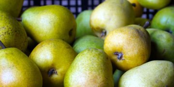 В Україні ніколи не було достатньо груш