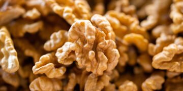 Китай випередив Україну та Чилі в експорті волоських горіхів до ЄС