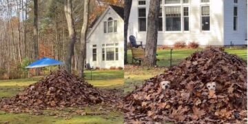 “Знайдіть нас”: чоловік їхав додому і помітив дивних “істот” у горі листя на ганку (відео)