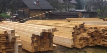 На Львівщині підприємець завдав державі понад мільйон гривень збитків через незаконні порубки, – ФОТО