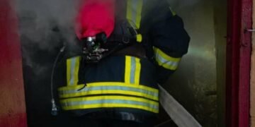 Врятувати не вдалося: на Львівщині під час пожежі загинули чотири свійські тварини