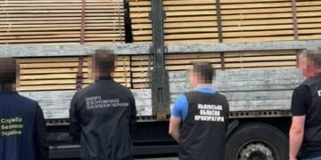 Контрабанда дубових лісоматеріалів у Польщу: судитимуть підприємця із Львівщини