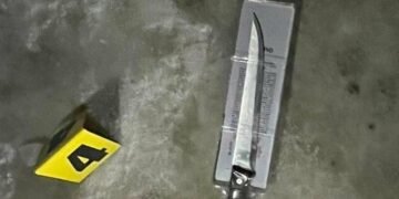 Вдарив ножем у живіт та втік: у Львові затримали вбивцю сусідки на вулиці Стрийській