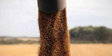 Західний Буг озвучив плани на врожай-2026