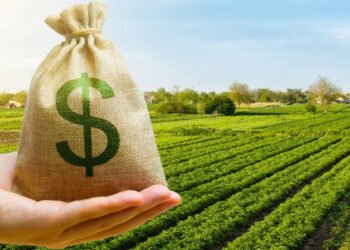 Сільгоспземля на Львівщині приваблює покупців