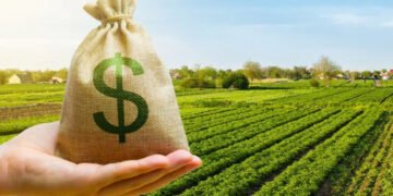 Сільгоспземля на Львівщині приваблює покупців