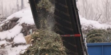 Привозять навіть в березні: у Львові переробляють новорічні ялинки на компост