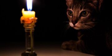 У Львові та області знову оновили графіки відключення світла на 15 січня