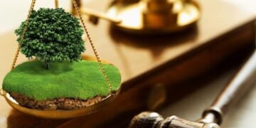 Ціна зросла у шість разів: у Львівській громаді вперше продали право оренди на землю сільськогосподарського призначення