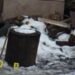 Чоловік зарубав кота на Львівщині: йому оголосили підозру