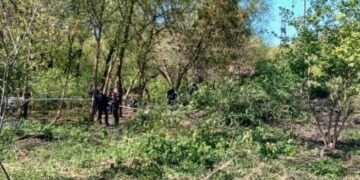 У Львівському парку знайшли труп немовляти