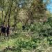 У Львівському парку знайшли труп немовляти