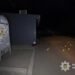 Скандал із “Вовками Да Вінчі”: у батальйоні вибачились за побиття цивільного