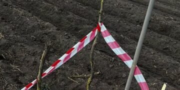 На Львівщині під час земляних робіт знайшли артилерійський снаряд часів Другої світової війни, – ФОТО