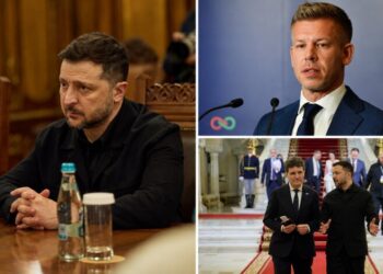 Зеленський прокоментував “розворот” Угорщини: Мадьяр засудив удар РФ по Закарпаттю