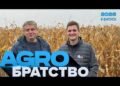 Зерносушарка на альтернативі: коли кукурудза сама себе сушить