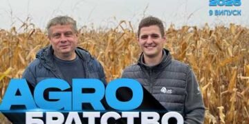 Зерносушарка на альтернативі: коли кукурудза сама себе сушить