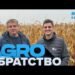Зерносушарка на альтернативі: коли кукурудза сама себе сушить