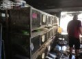 Ворог атакував зоопарк у Харкові безпілотником "Герань" – загинуло 10 кролів, у слона гострий стрес