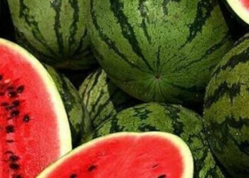 Торгівля кавунами, динями, овочами та фруктами: у Львові оновили правила сезонної торгівлі
