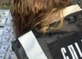 “Виїзд за 13,5 тис. доларів”: організатора схеми на Львівщині засудили до тюрми