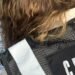 “Виїзд за 13,5 тис. доларів”: організатора схеми на Львівщині засудили до тюрми