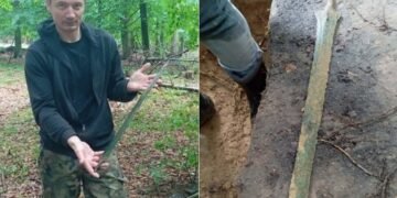 Знахідка змусила заплакати: польський пошуковець знайшов 2700-річний меч бронзової доби (фото)