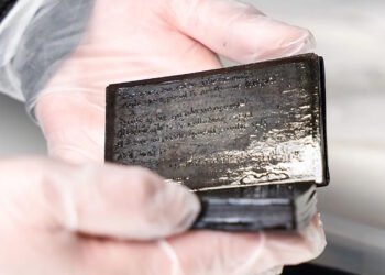 Зберігся як новий: у середньовічному туалеті археологи виявили унікальний блокнот