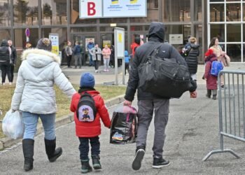 У Данії хочуть анулювати дозволи на проживання частині українських чоловіків, – законопроект