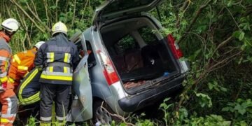 Смертельна ДТП: В аварії Renault та Peugeot у Шептицькому загинула водійка