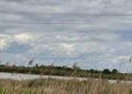 Громаді Стрия повернули ділянку зі ставками площею 53 га