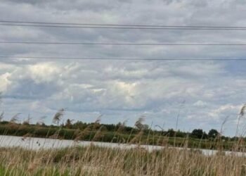 Громаді Стрия повернули ділянку зі ставками площею 53 га