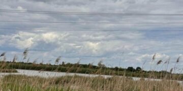Громаді Стрия повернули ділянку зі ставками площею 53 га