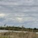 Громаді Стрия повернули ділянку зі ставками площею 53 га