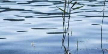 На Львівщині в озері потонула 17-річна дівчина