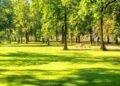 На околицях Львова з’явиться заказник площею 55 гектарів