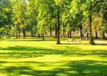 На околицях Львова з’явиться заказник площею 55 гектарів