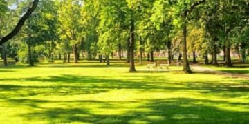 На околицях Львова з’явиться заказник площею 55 гектарів