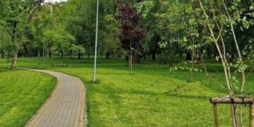 Морозиво, кава й атракціони: у Львові виставили локації в парках на аукціони