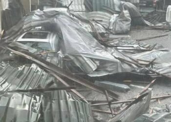 Перші наслідки  страшного буревію у Львові: зірвало дах з Шевченківської районної адміністрації, дерево впало на тролейбус, – ФОТО, ВІДЕО