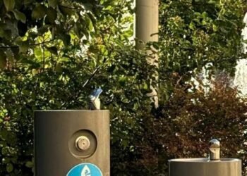 Де у Львові можна безкоштовно набрати питну воду під час спеки: перелік локацій