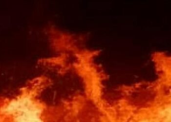 Через замикання радіоприймача: на Львівщині в пожежі постраждав господар квартири