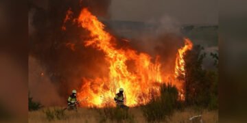 Іспанія переживає найбільшу лісову пожежу в історії: кількість постраждалих постійно зростає (відео)