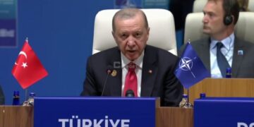 Ердоган на саміті НАТО заявив про підтримку України та наміри вплинути на Росію