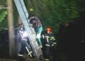 Кіт заманив господарку на дерево: у Львові рятувальники прийшли на допомогу
