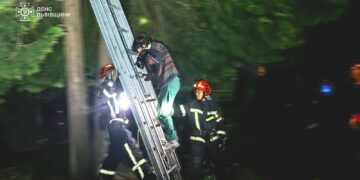 Кіт заманив господарку на дерево: у Львові рятувальники прийшли на допомогу