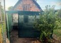 Ножем і вилами: у Львові чоловік жорстоко розправився з вівчаркою